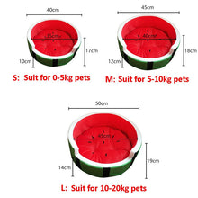 Watermelon Sugar Dog bed