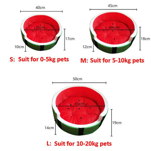 Watermelon Sugar Dog bed