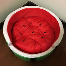 Watermelon Sugar Dog bed