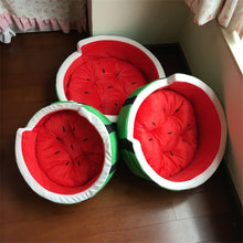 Watermelon Sugar Dog bed