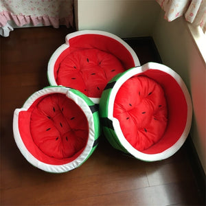Watermelon Sugar Dog bed