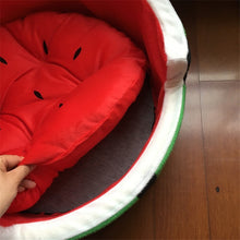 Watermelon Sugar Dog bed