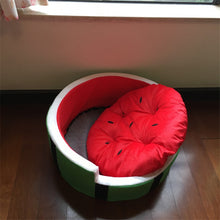 Watermelon Sugar Dog bed