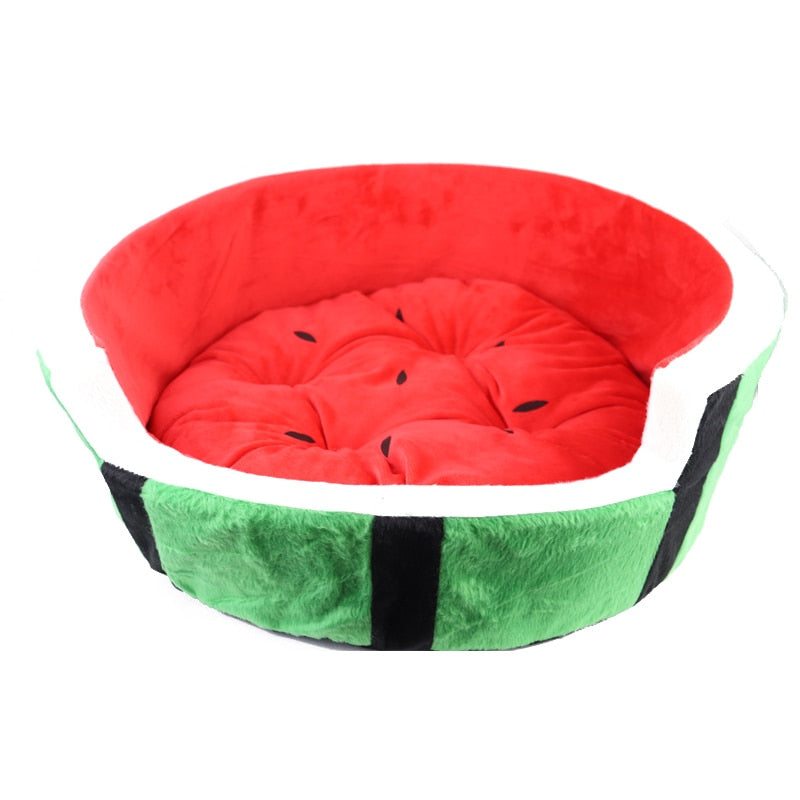 Watermelon Sugar Dog bed