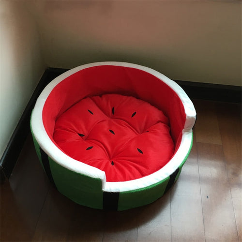 Watermelon Sugar Dog bed