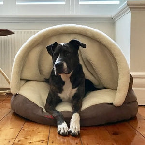 [Get Highest Quality Dog Beds Online] - The Dog Bed Shop