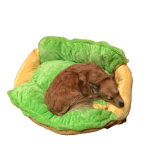 [Get Highest Quality Dog Beds Online] - The Dog Bed Shop