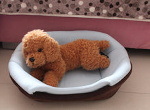 [Get Highest Quality Dog Beds Online] - The Dog Bed Shop