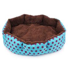 [Get Highest Quality Dog Beds Online] - The Dog Bed Shop