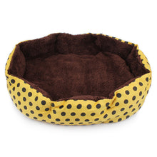 [Get Highest Quality Dog Beds Online] - The Dog Bed Shop