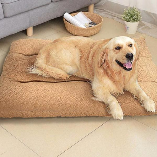 [Get Highest Quality Dog Beds Online] - The Dog Bed Shop