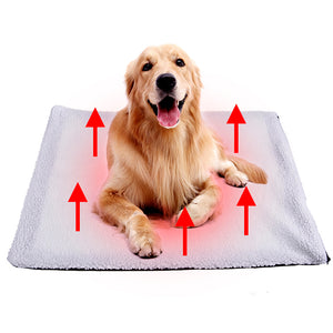 [Get Highest Quality Dog Beds Online] - The Dog Bed Shop