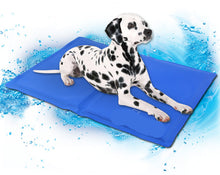[Get Highest Quality Dog Beds Online] - The Dog Bed Shop