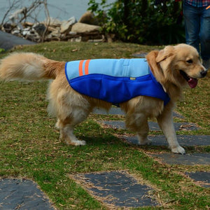 [Get Highest Quality Dog Beds Online] - The Dog Bed Shop